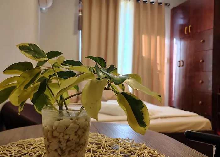 Apartment Homey With Olympic-sized Pools